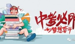 周日爆料最新消息新闻,最新热点新闻大揭秘