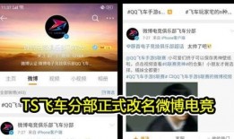 最新转会期爆料ts,TS战队引援动向揭秘